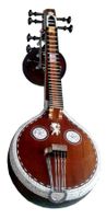 Indische akustische elektrische Veena