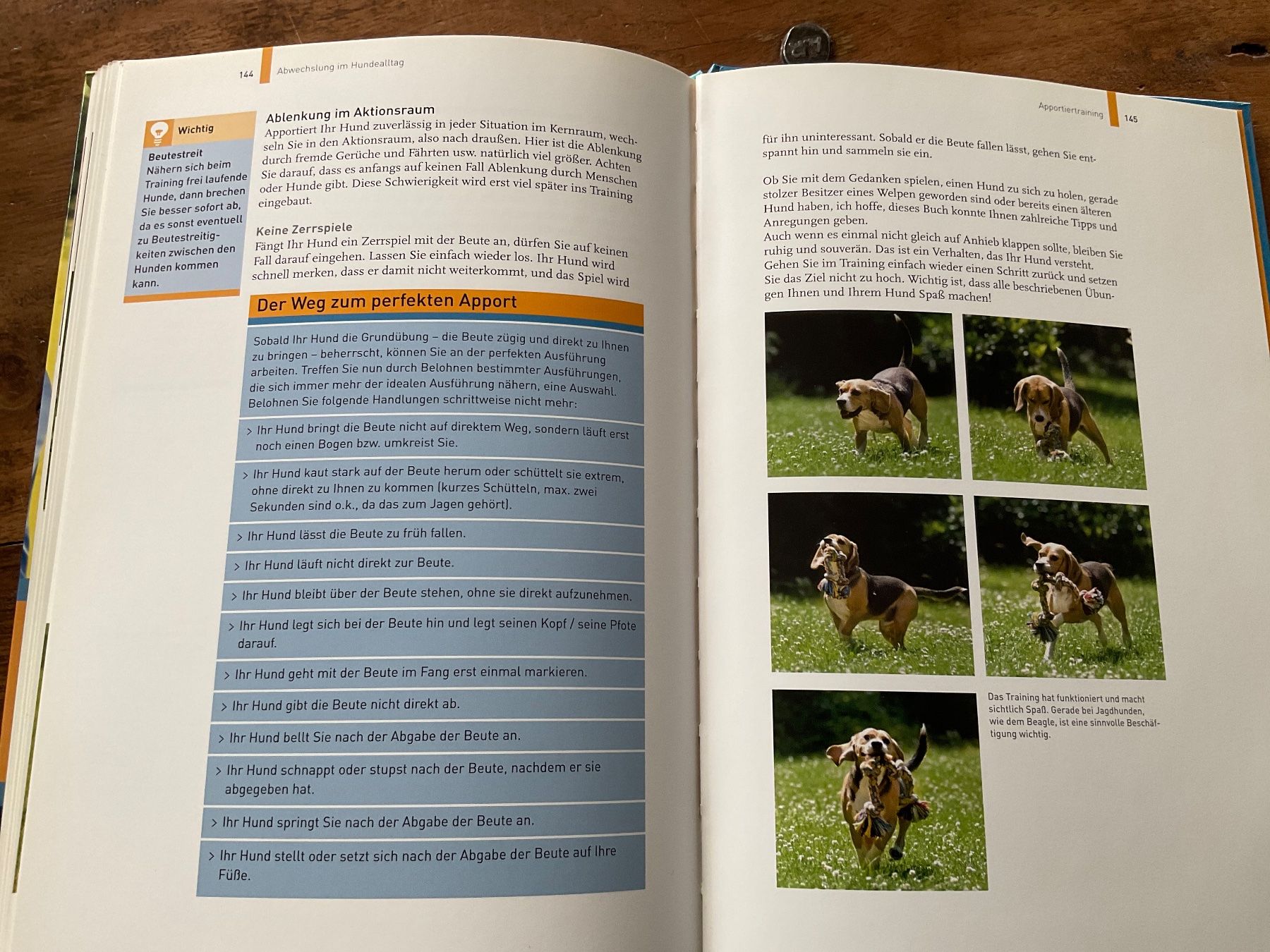 Libri: Hundetraining mit Martin Rütter, Partnerschaftl – Usato da Avenches venduto da Tinkey 4