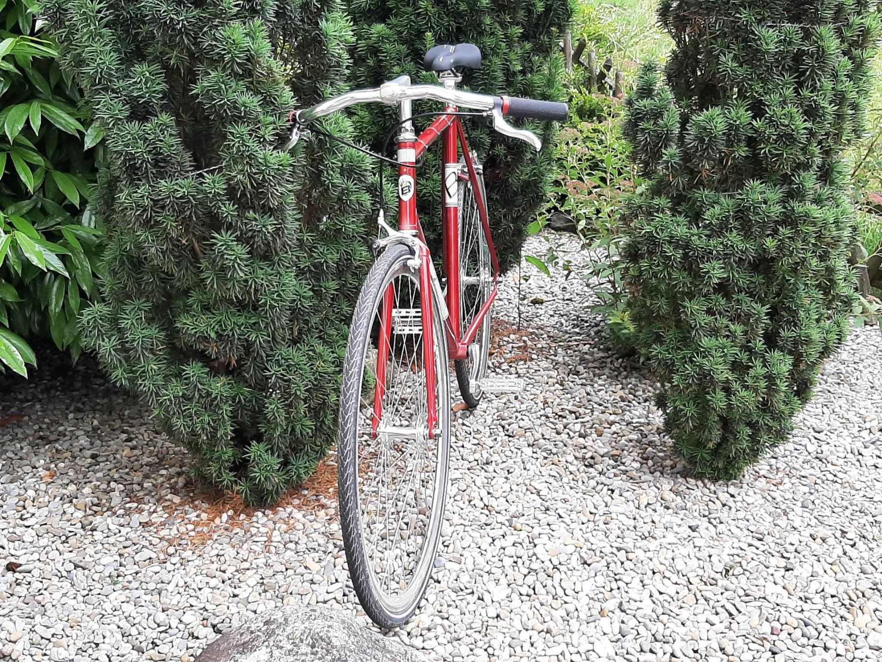 Bergamont Velos: Singlespeed / Fixie – Gebraucht aus Schwadernau von Henry04 6