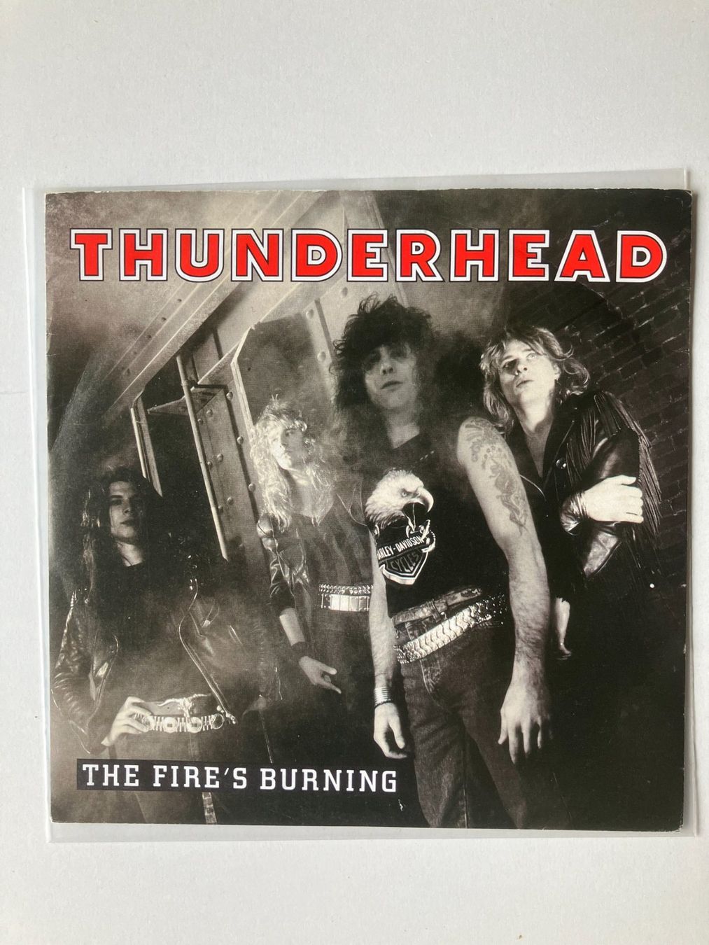 Dischi in vinile: Thunderhead – Usato da Aarwangen venduto da Jukebox3