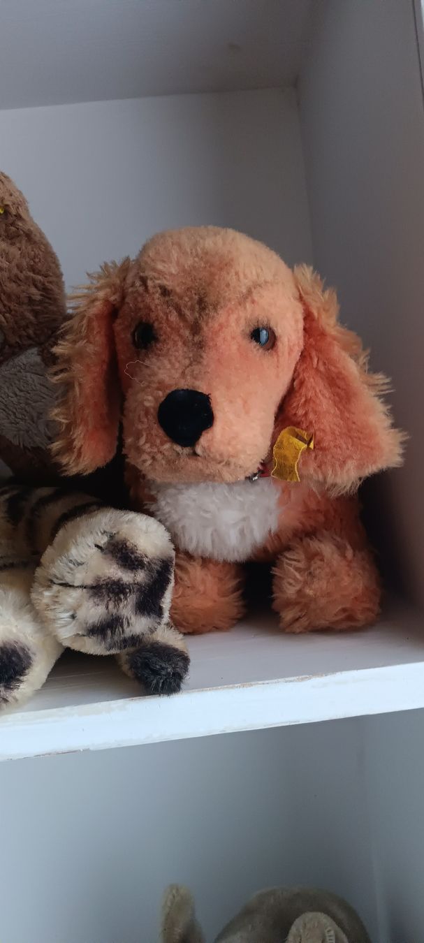 Steiff Giocattoli: STEIFF TIERE – Usato da Maienfeld venduto da Andyr44 5
