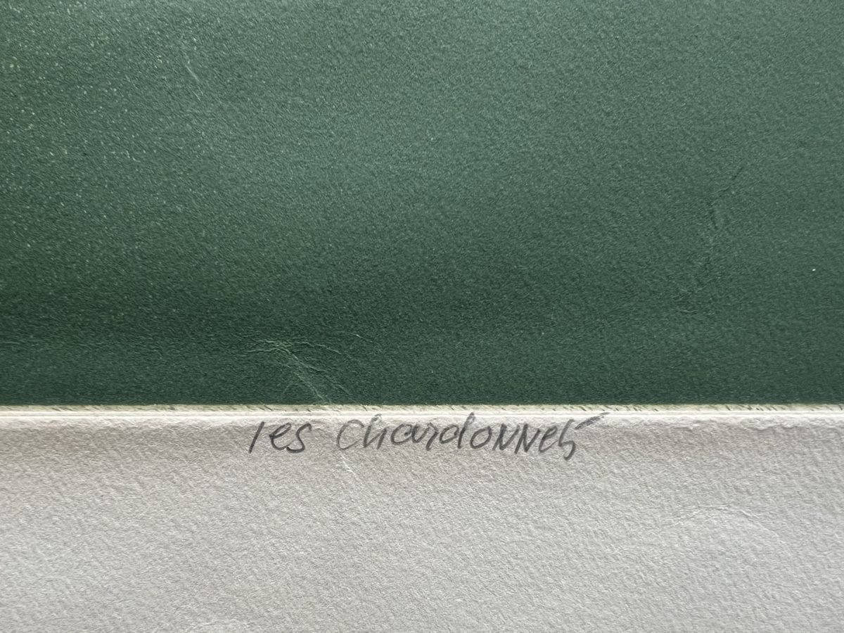 Grafica & Litografie: Bertrand Dorny, handsigniert, nummeriert – Usato da Rain venduto da Pic-Ass 4