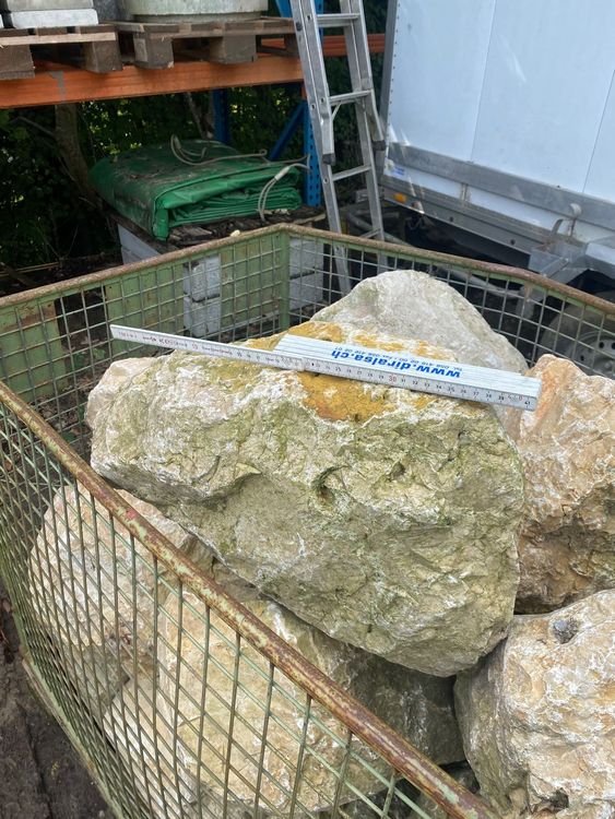 Kalksteine jura Kaufen auf Ricardo
