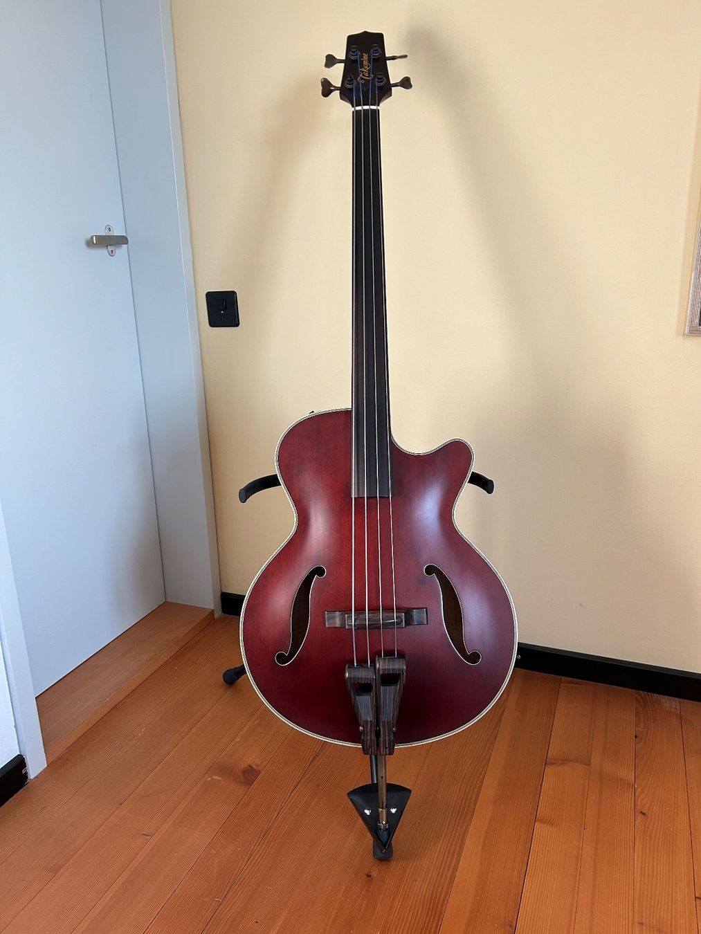 Takamine Instruments de musique: Takamine TB10 – D'occasion à Birrwil par rot_v7sc
