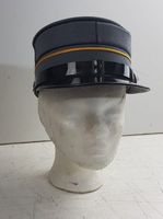 Militär Hut Schweizerisches Militär Leutnant