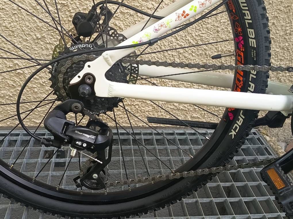 Ghost Biciclette: Ghost Lanao 4  24" – Usato da Uster venduto da soson77 4