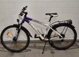 Velo Mountainbike Mustang weiß violett 26 Zoll