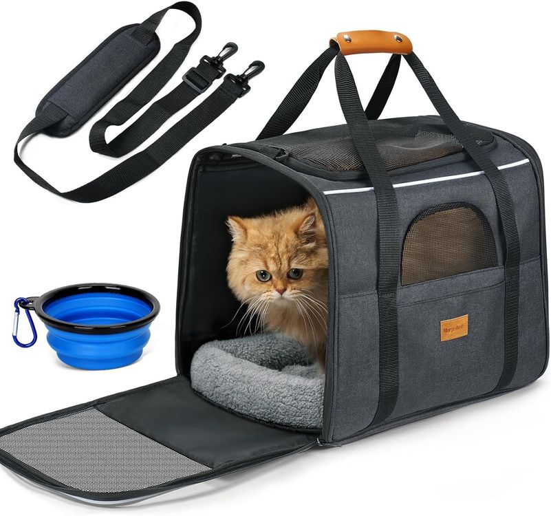 Erstaunlich Transportbox Fur Katzen Bilder