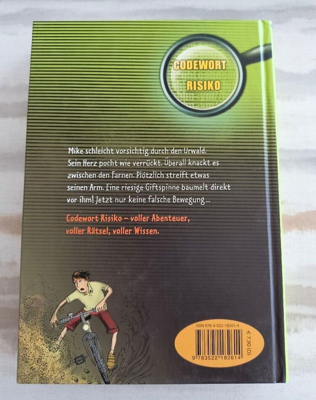 Bücher: Codewort Risiko: Im Netz der schwarzen Spinne - Jugendbuch – Gebraucht aus Schöfflisdorf von kin_2dp9 2