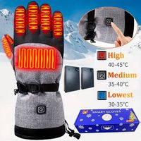 Neue beheizte Winterhandschuhe in Grau