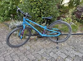 Kindervelo Stevens Beat SL 24
