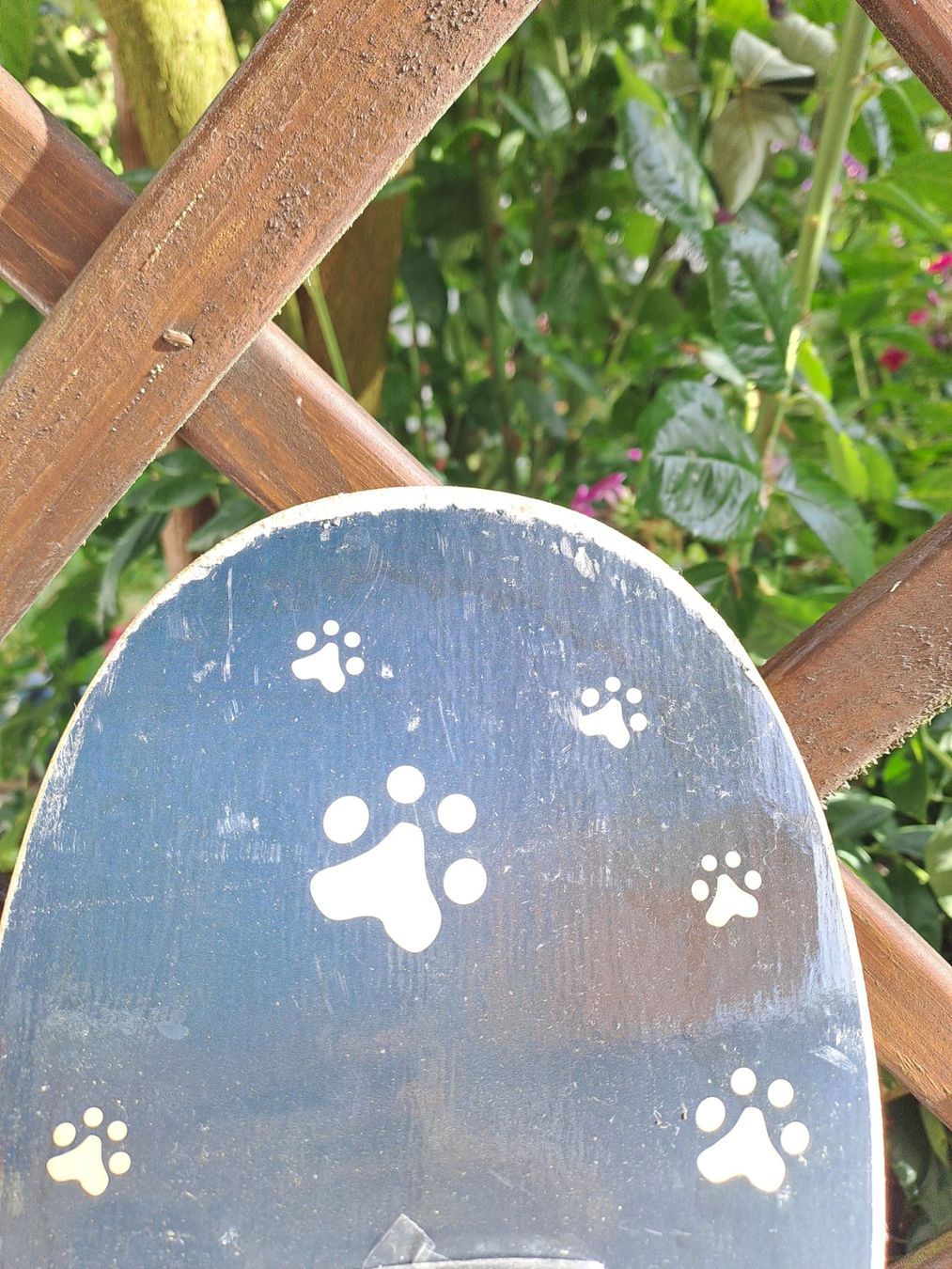 Skateboards: Skateboard my area kiddies – Usato da Kleindöttingen venduto da sasis 4