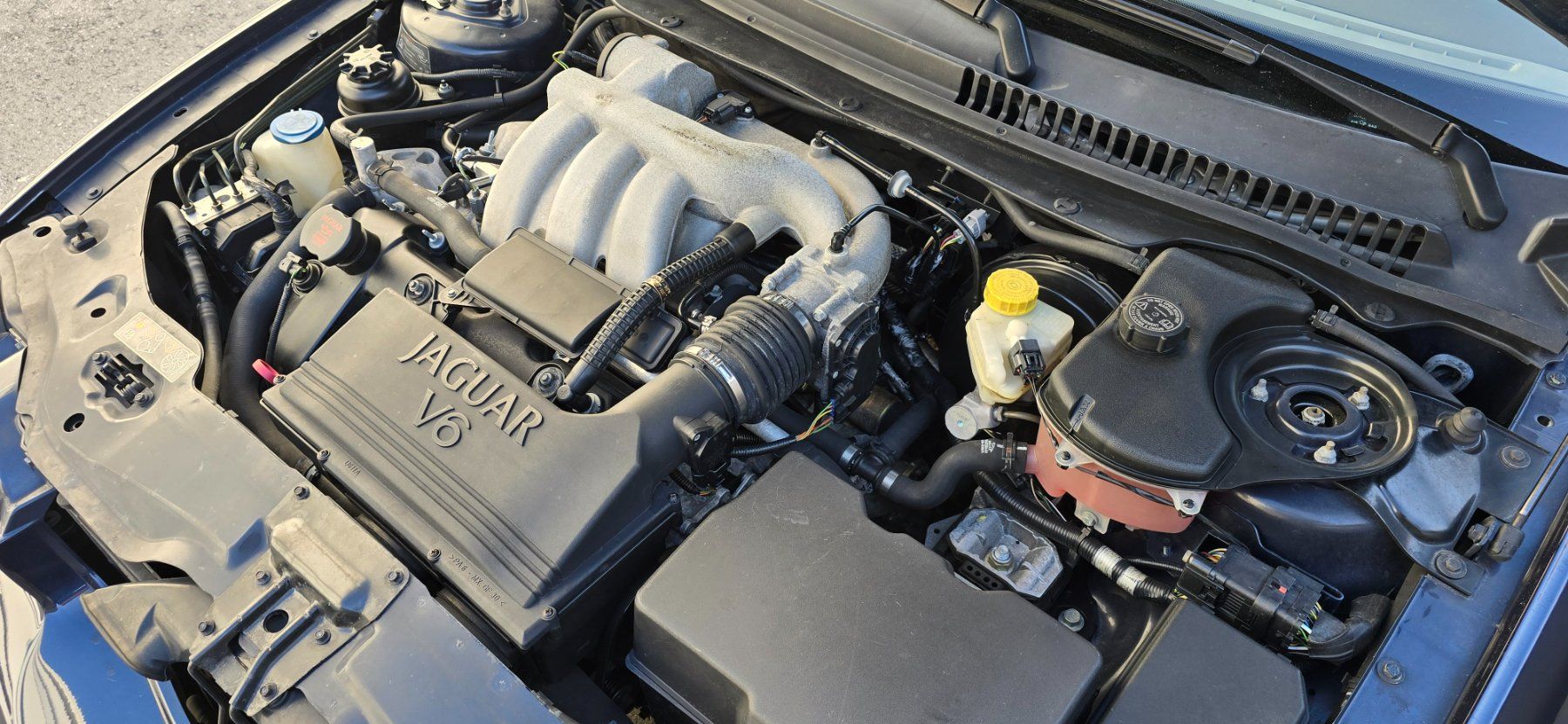 Jaguar Automobili: JAGUAR X-Type 3.0 V6 Traction4 Executive – Usato da Visp venduto da Driverman 5