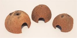 Kokosnusshöhle 3 Stück *AUSVERKAUF*