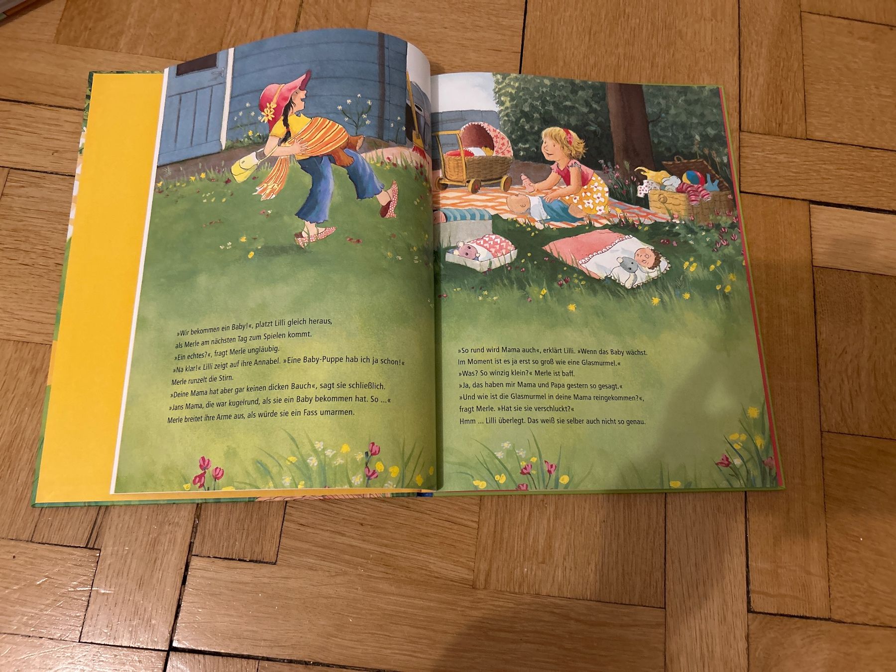 Bücher: Buch Lilli wird Baby- Expertin – Gebraucht aus Degersheim von Principessa_90 1