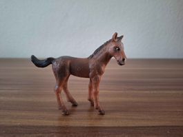 Hannoveraner Fohlen Bullyland Antiquariat