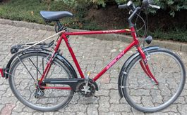 Vélo Arrow WILDCAT rouge de Villiger