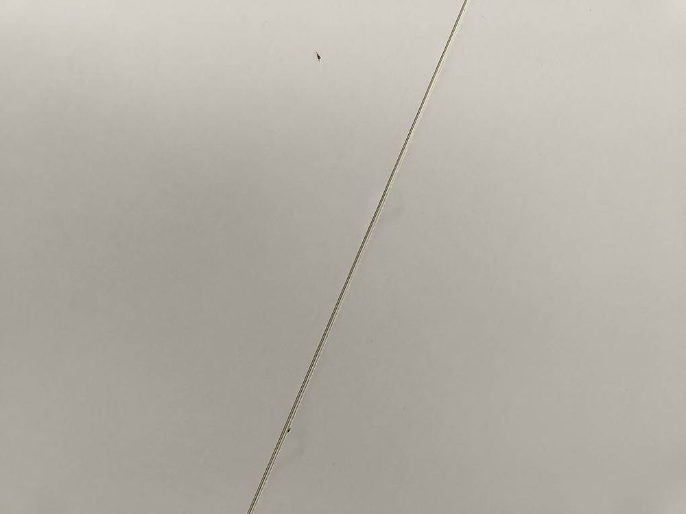 Tische: Esstisch Klappbar – Gebraucht aus Uster von Lamue23 4
