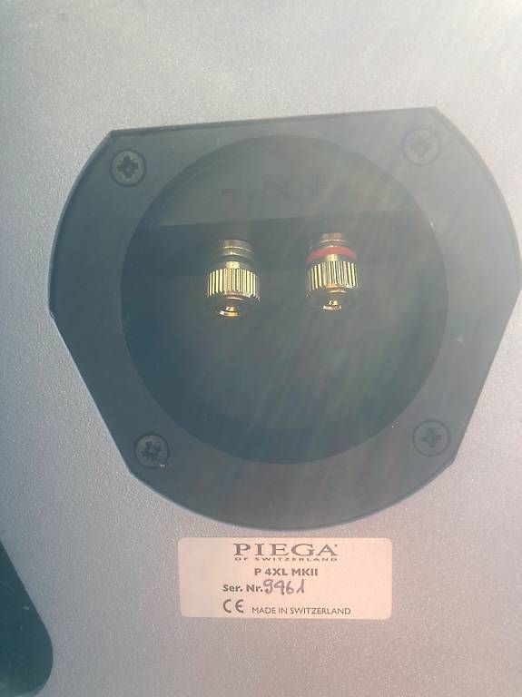 Haut-parleurs: PIEGA High End Premium Surroundsystem (Aluminium) – D'occasion à Egg b. Zürich par lirumlarum 1