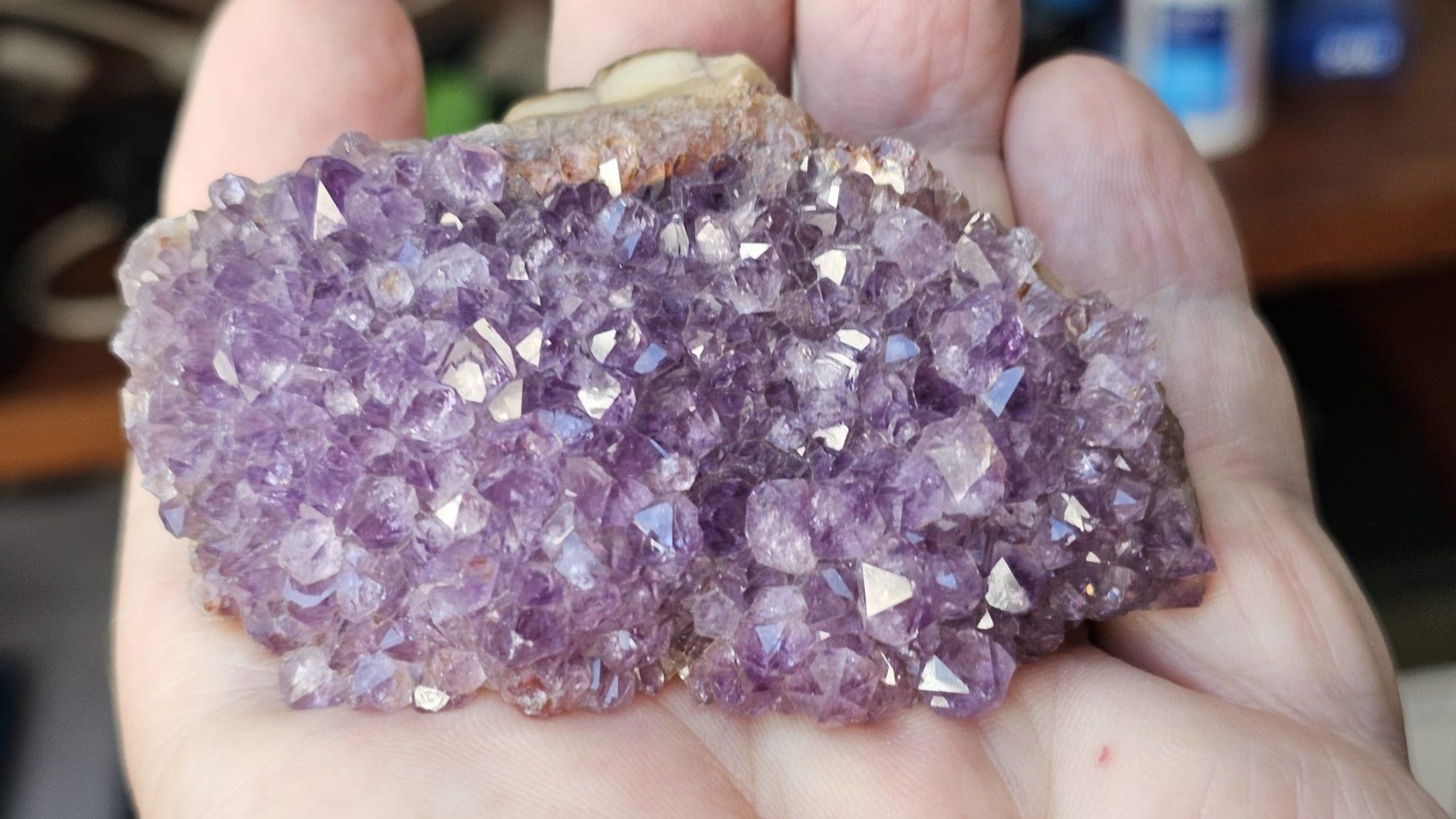 Mineralien & Heilsteine: Amethyst Crystal Cluster on Agate Base – Gebraucht aus St-Légier-Chiésaz von nig_dk7p 5