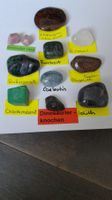 10er Set Trommelsteine, seltener Dinosaurierknochen: Set 14