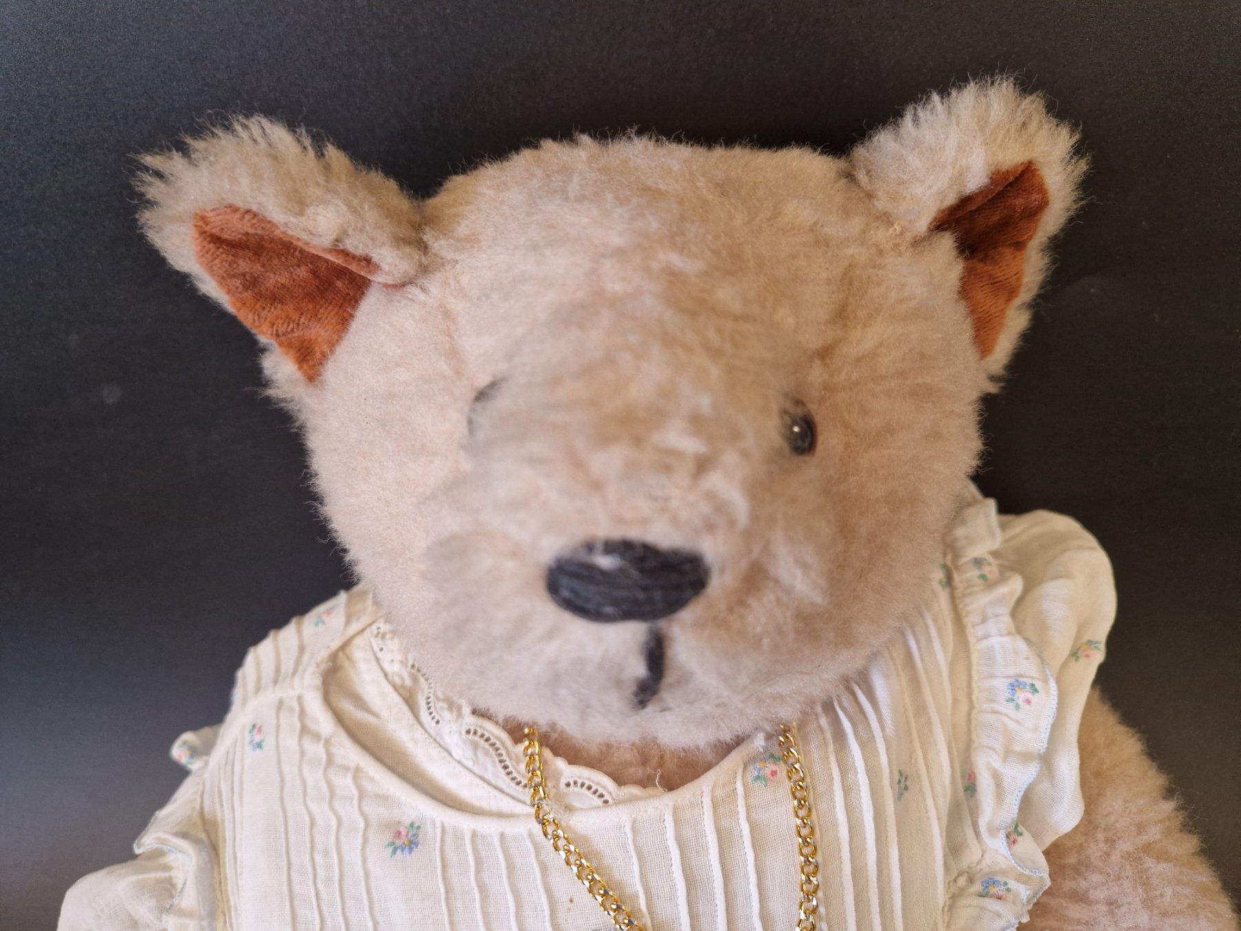 Giocattoli: weiblicher Teddybär – Usato da Muhen venduto da Restwert_Muhen 1