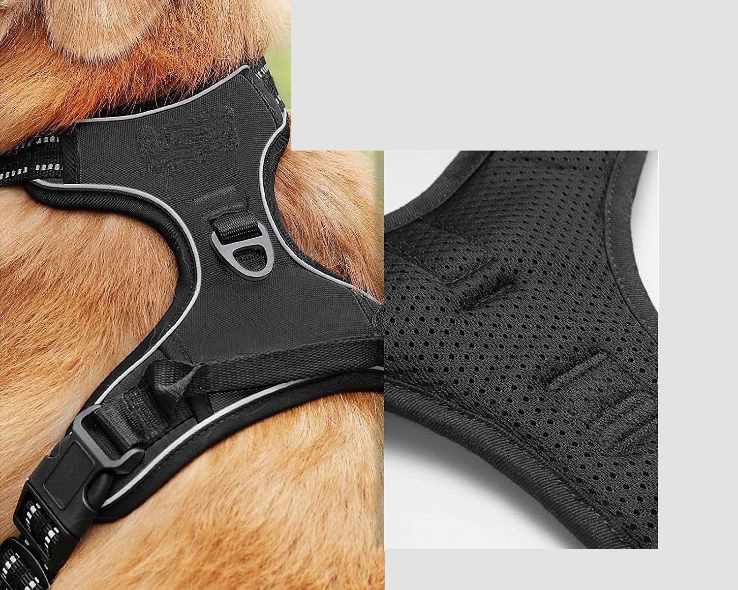 Guinzagli & Collari: EXA Hundegeschirr mit 2 Ringen - Grösse M – Nuovo e nell'imballaggio originale da Werdenberg venduto da EXA-Animal-World 3