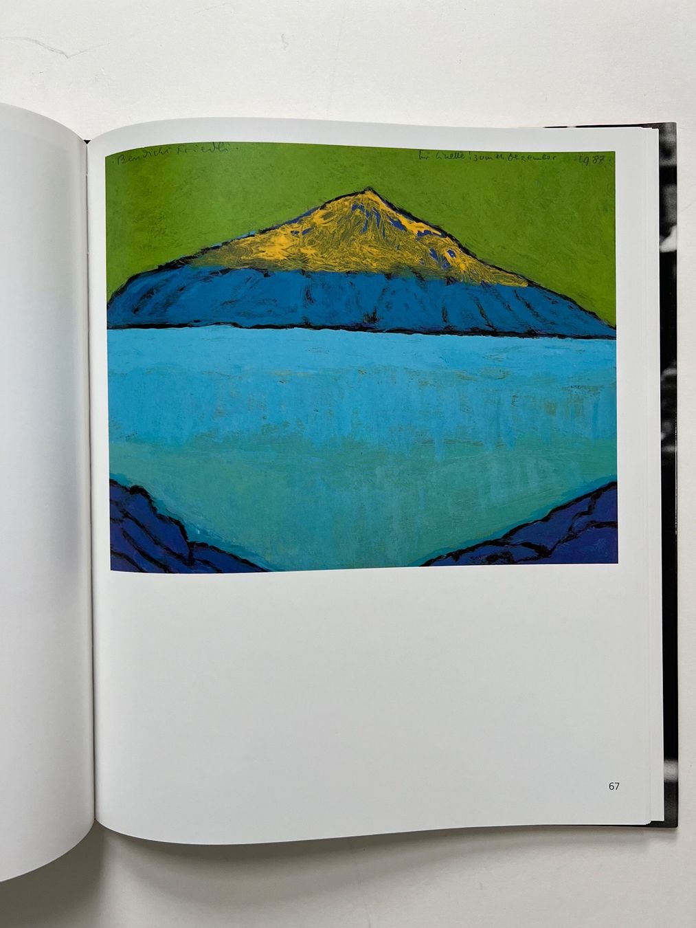 Grafica & Litografie: BUCH: Bendicht Friedli – Usato da Rain venduto da Pic-Ass 4