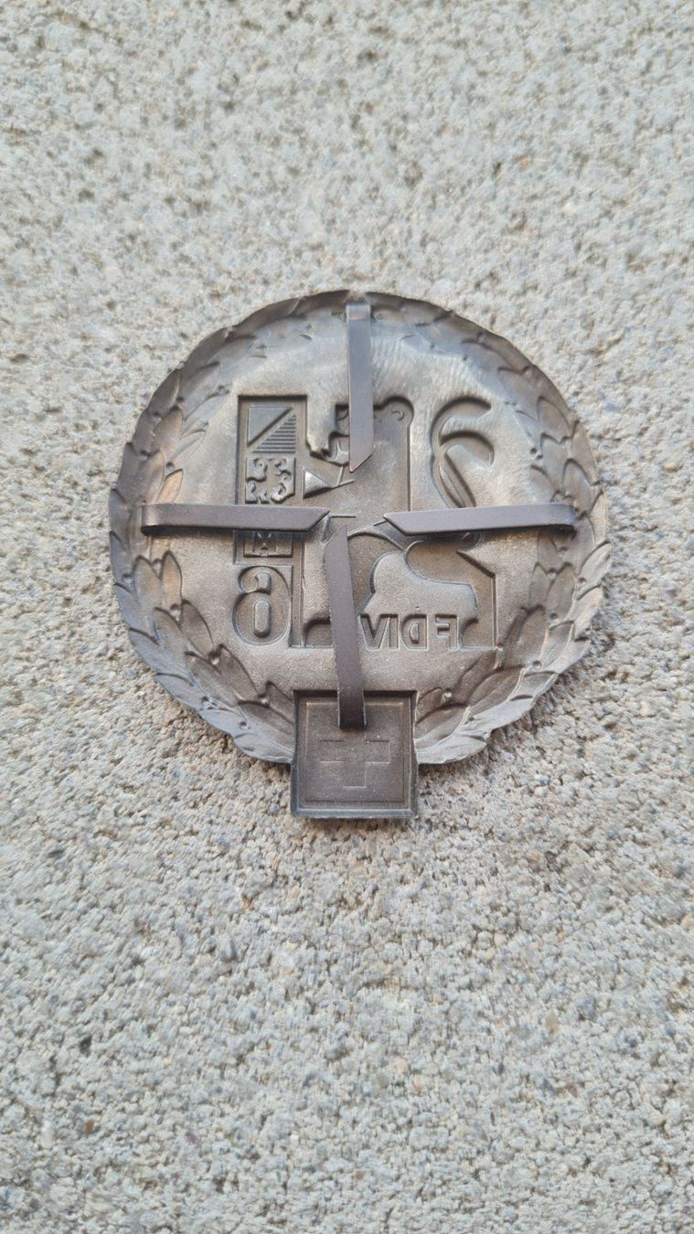 Medaglie: CH Armee / Béret / Emblem / Felddivision 6 / Béretemblem – Usato da Safenwil venduto da Husqi2000 4