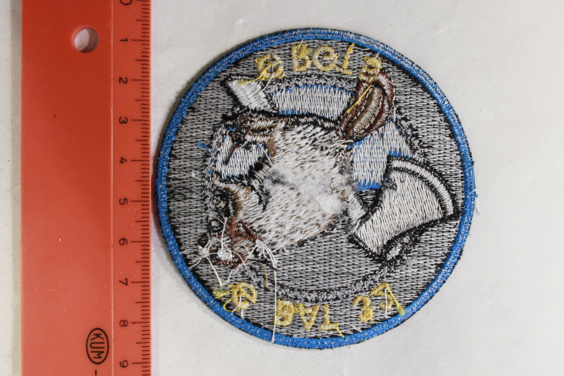 Schweizer Armee Placchette & Badge: G bat 32 – Usato da La plaine venduto da 762 1