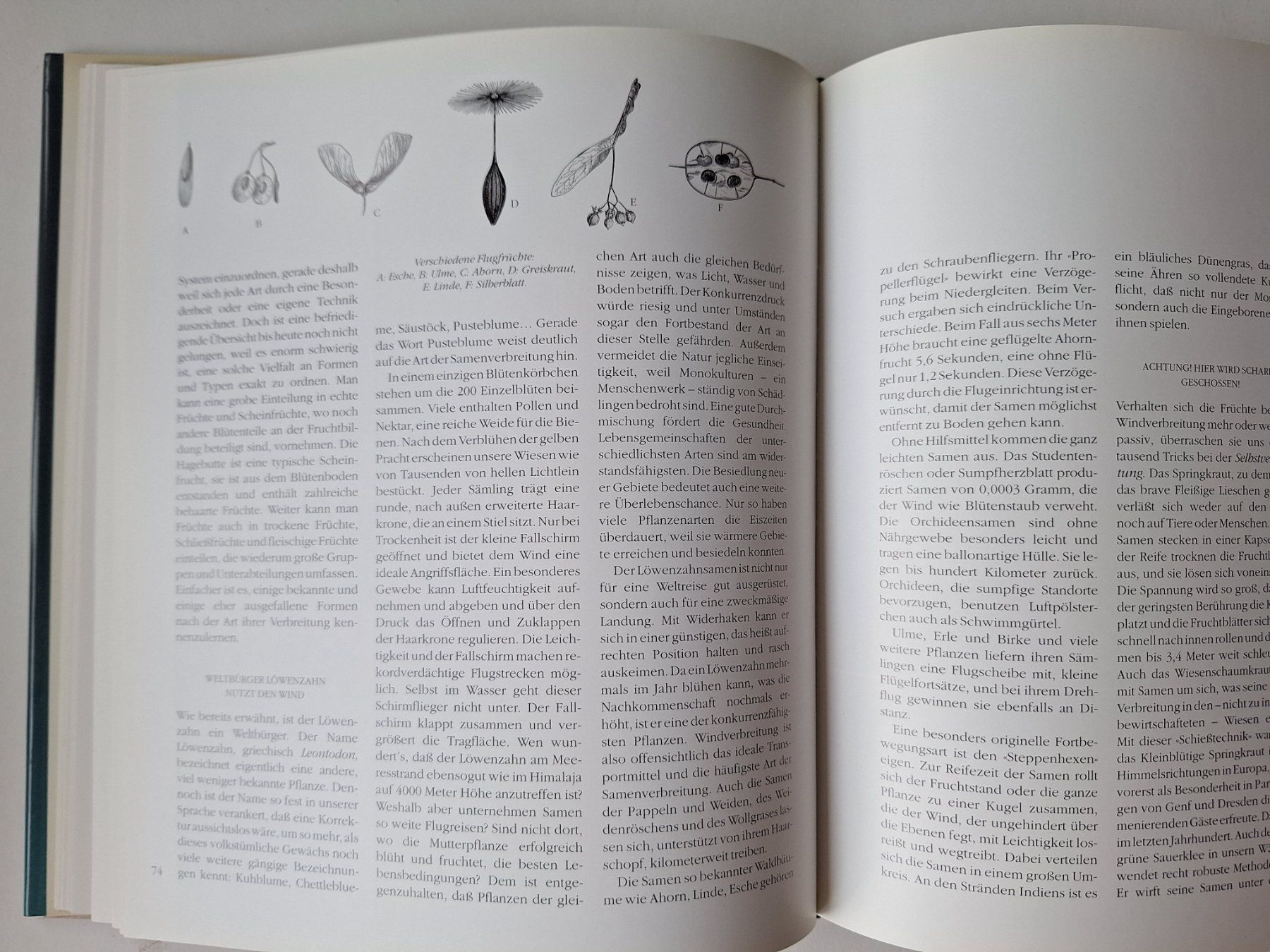 Libri: Geheimnisse unserer Pflanzen – Usato da Zürich venduto da t24_de 1