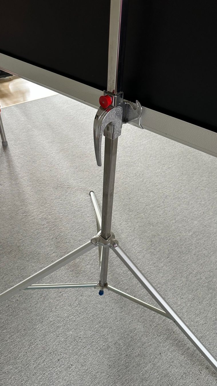 Schermi: Da Lite Leinwand – Usato da Aesch BL venduto da fan_59pb 2