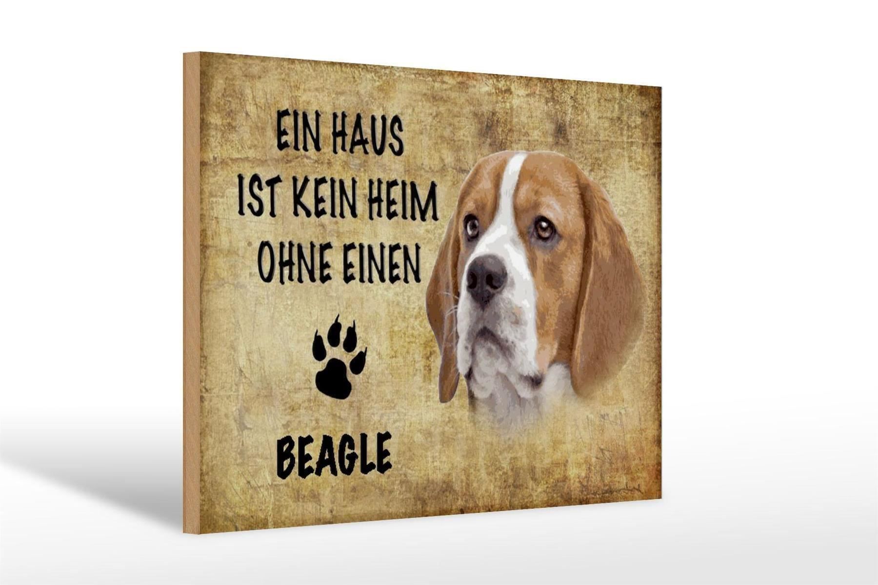Insegne: Blechschild-BEAGLE-KEIN HEIM OHNE EINEN – Nuovo e nell'imballaggio originale da Rupperswil venduto da big-one-sale 1