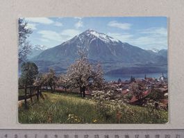 Sigriswil, Thunersee, Niesen