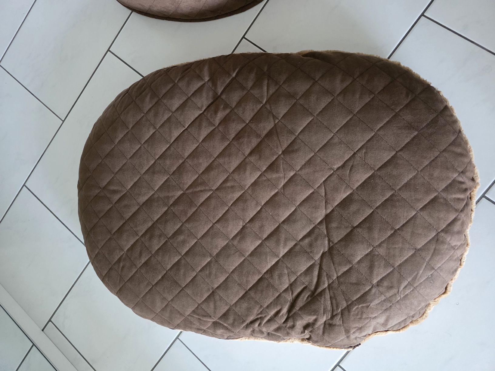 Cucce & Letti: Hundebett  – Usato da Twann venduto da kev_b6tb 3