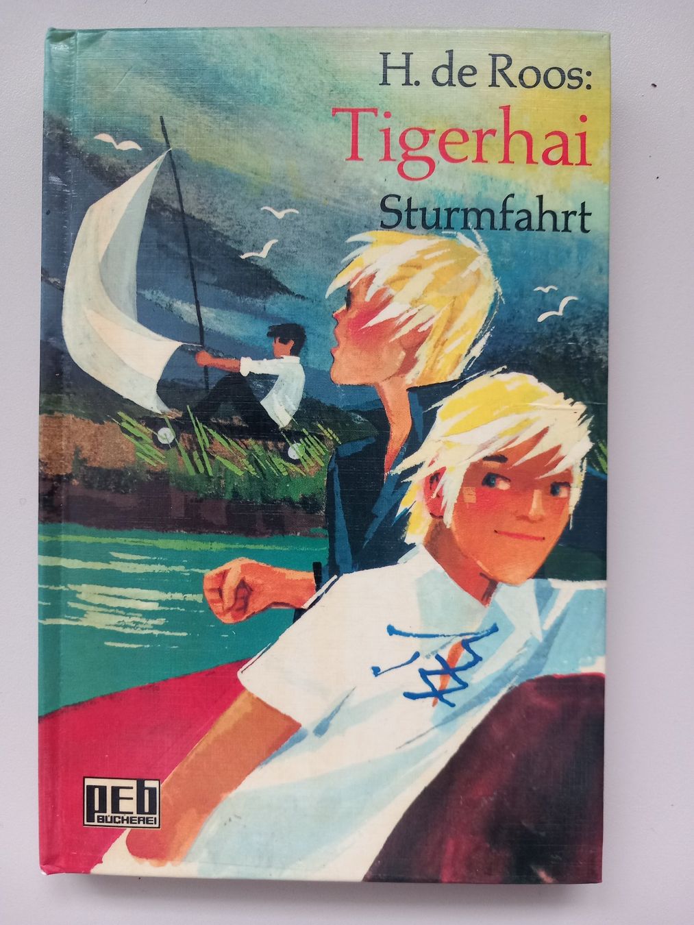 Libri: 3 bildhafte Jugendbücher, eine 1. Auflage – Usato da Lindau venduto da san_kg2j 4