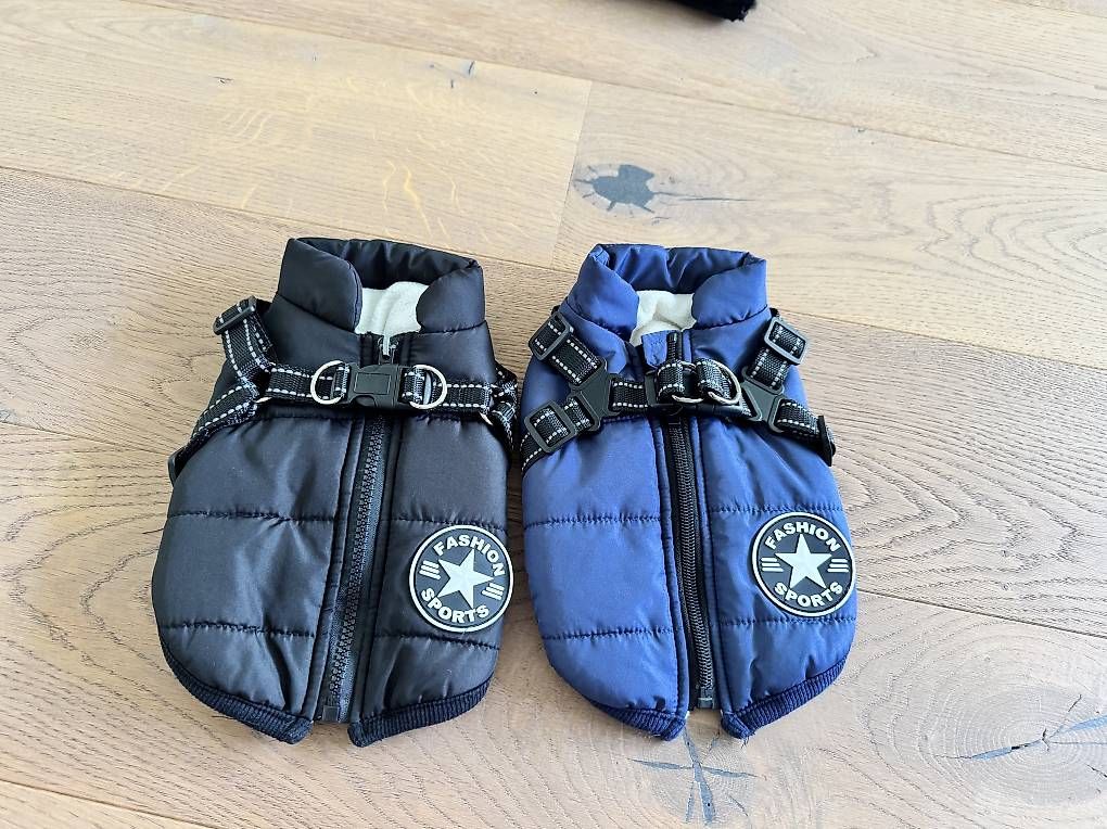 Abbigliamento: Hunde Mänteli – Usato da Büron venduto da Manu864