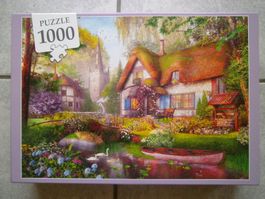 Puzzle de 1000 pièces