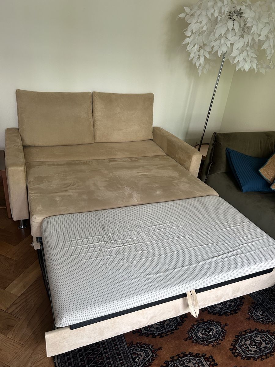 Pfister Divani: Ausziehbares Sofa – Usato da Luzern venduto da Naed3 3