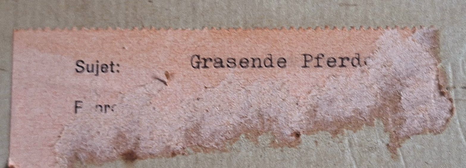 Dipinti: 2er Set-Gemälde mit Pferden von Konrad – Usato da Emmenbrücke venduto da abu_9mj8 8