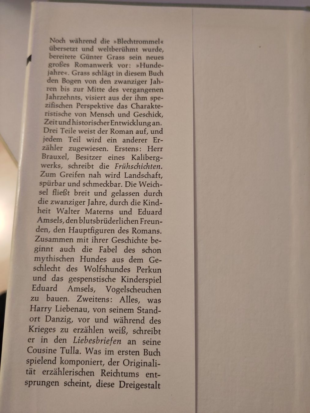 Libri: Hundejahre - Günter Grass – Usato da Bülach venduto da Tiefschlaflos 1