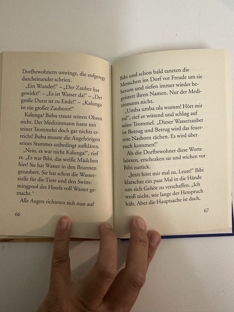 Libri: Bibi Blocksberg Das feuerrote Nashorn – Usato da Emmen venduto da Chapa 2