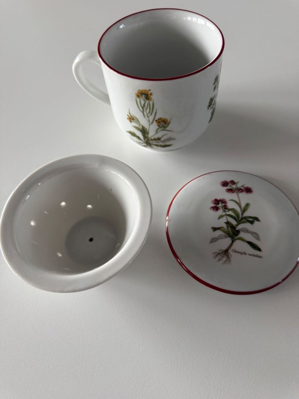 Tazze: Alte Teetasse mit Sieb – Nuovo (secondo la descrizione) da Dällikon venduto da dahi1 2
