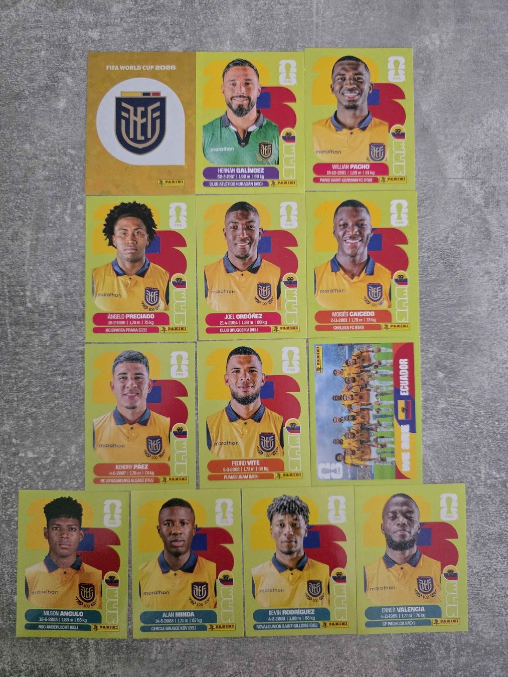 Panini Carte collezionabili: Panini WM 2026 Ecuador – Usato da St. Gallen venduto da Shelly__x3