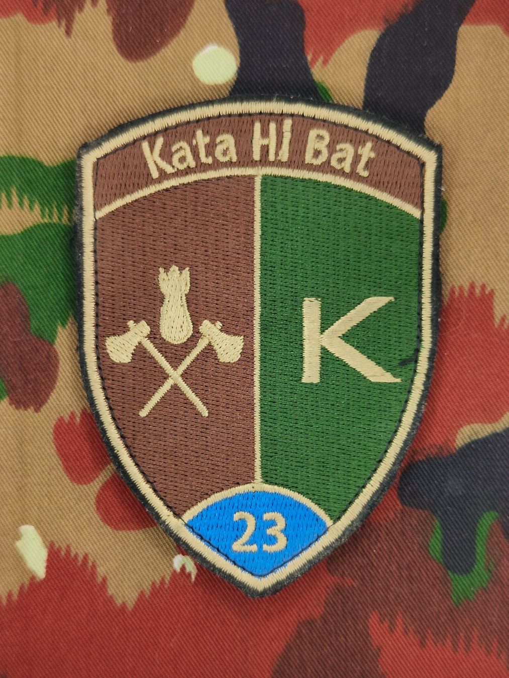 Schweizer Armee Placchette & Badge: Verbandsabzeichen Kata Hi Bat 23 Kp 4 – Usato da Bauma venduto da SwissMilitaria