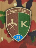 Verbandsabzeichen Kata Hi Bat 23 Kp 4