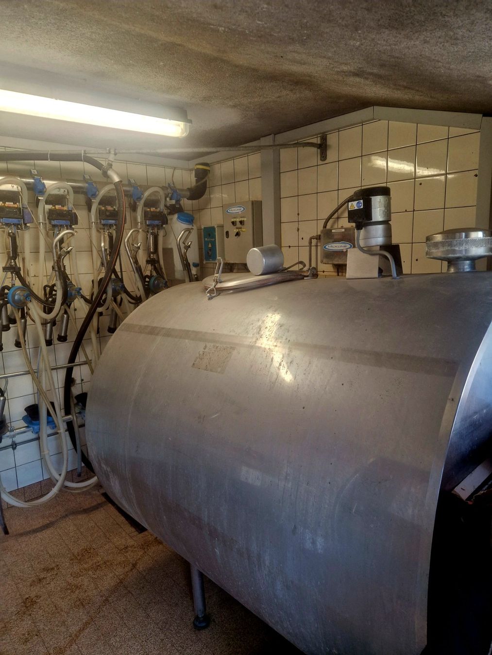 Melktechnik: Milchtank – Gebraucht aus Kestenholz von studer92 2