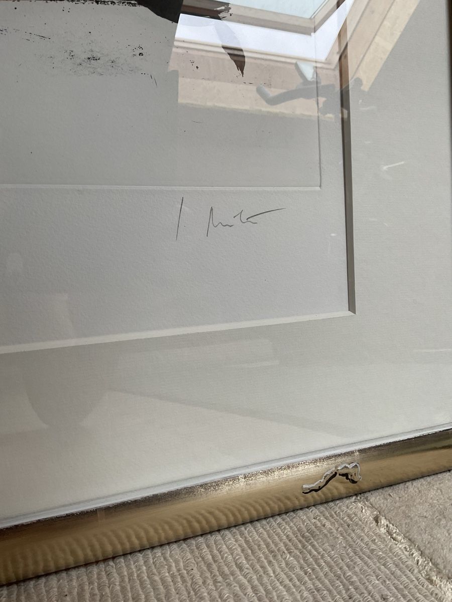 Foto & Immagini: Wunderschöner gerahmter Kunstdruck von Jean Miotte – Usato da Dübendorf venduto da rob_td8b 2