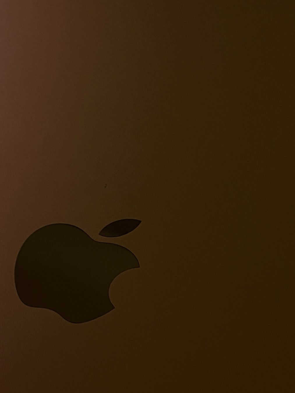 Apple Notebooks: MacBook Air M1 – Gebraucht aus Zürich von Denise1743 8