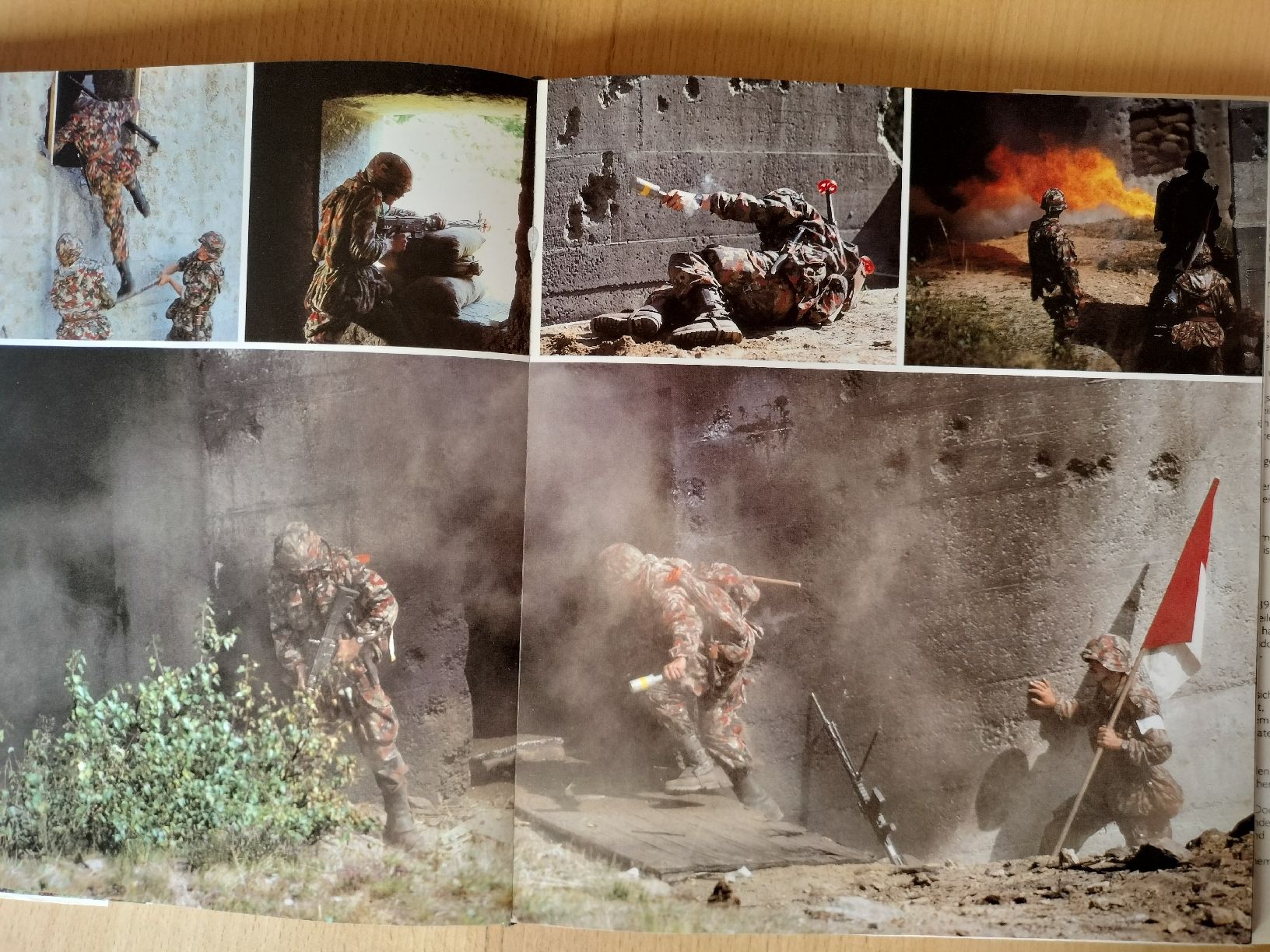Livres: Schweizer Armee Militär Buch – D'occasion à Schwanden Sigrisw par len_9yqg 8